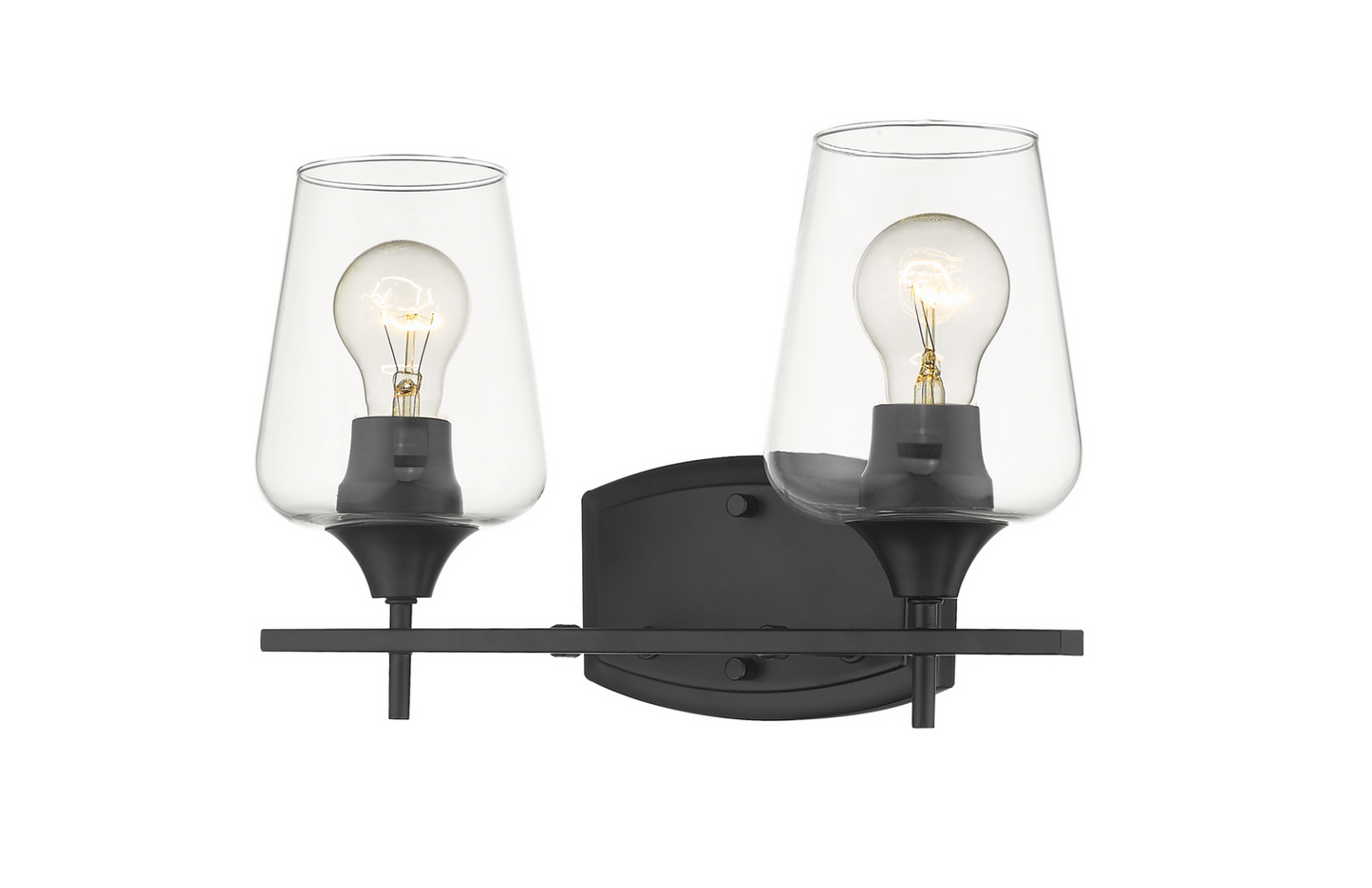 Julia Matte Black Vanity Light