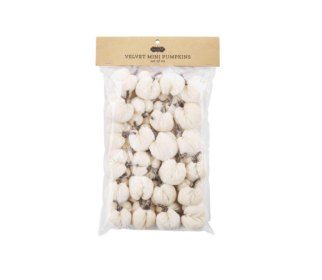 Cream Mini Pumpkin Set