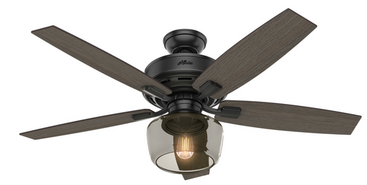 Benny 52" Ceiling Fan