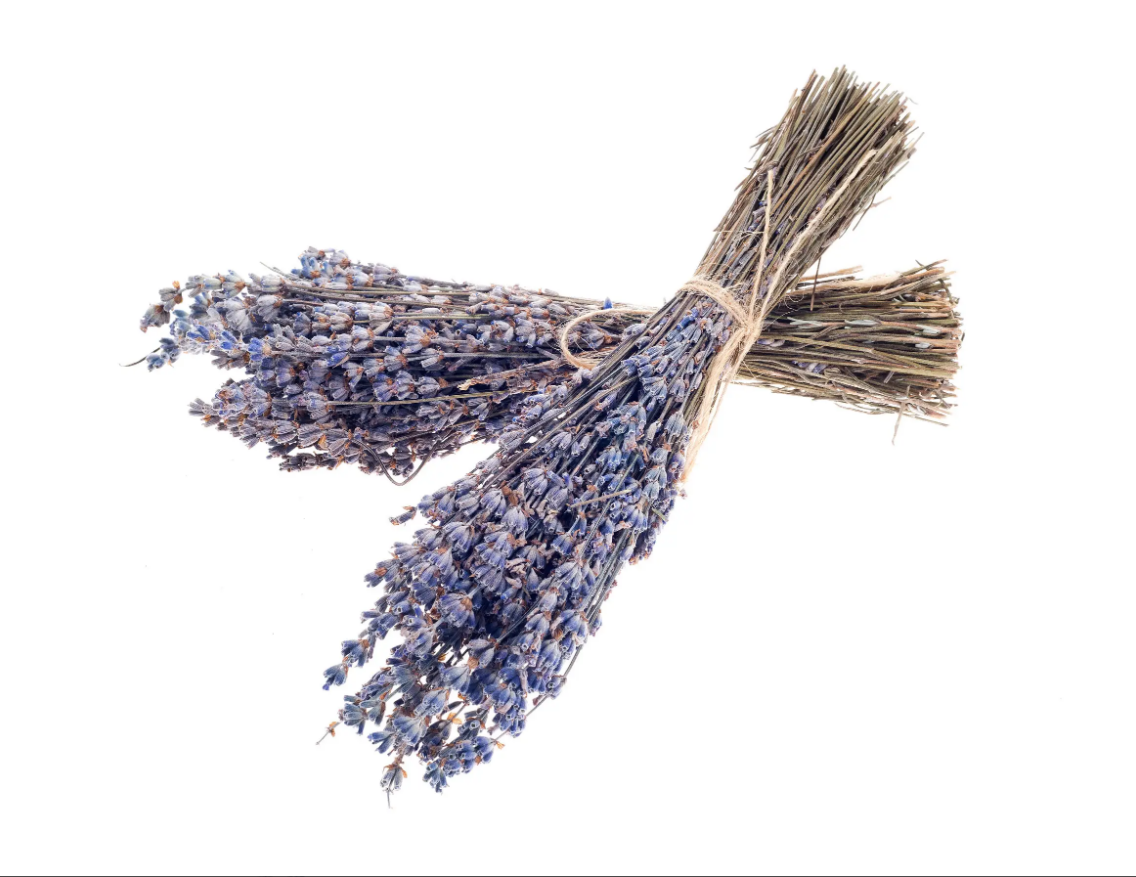 Dried Lavender Bunch