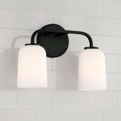 Terrah Matte Black Vanity Light