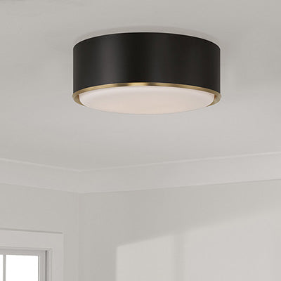 The Landing Flush Mount