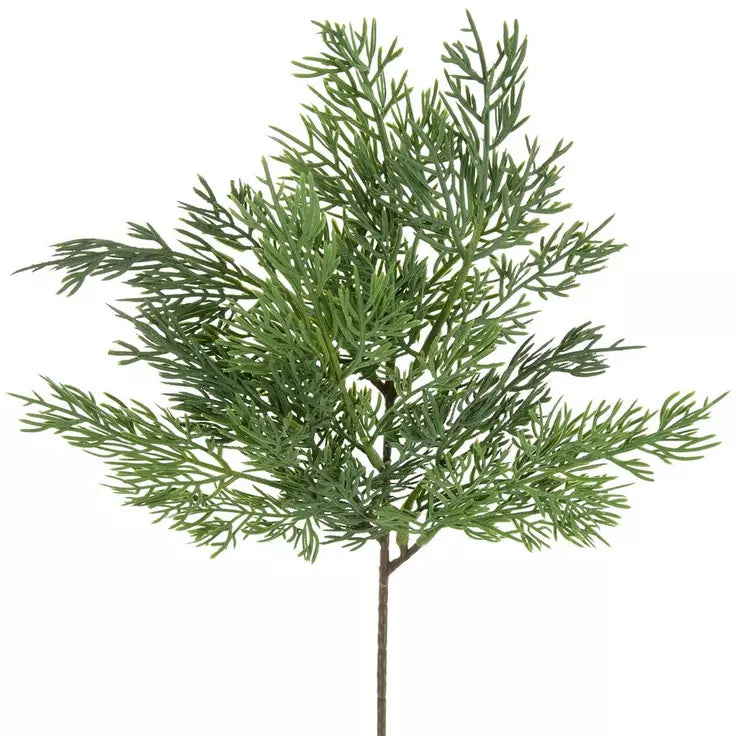 Cedar Pine Spray