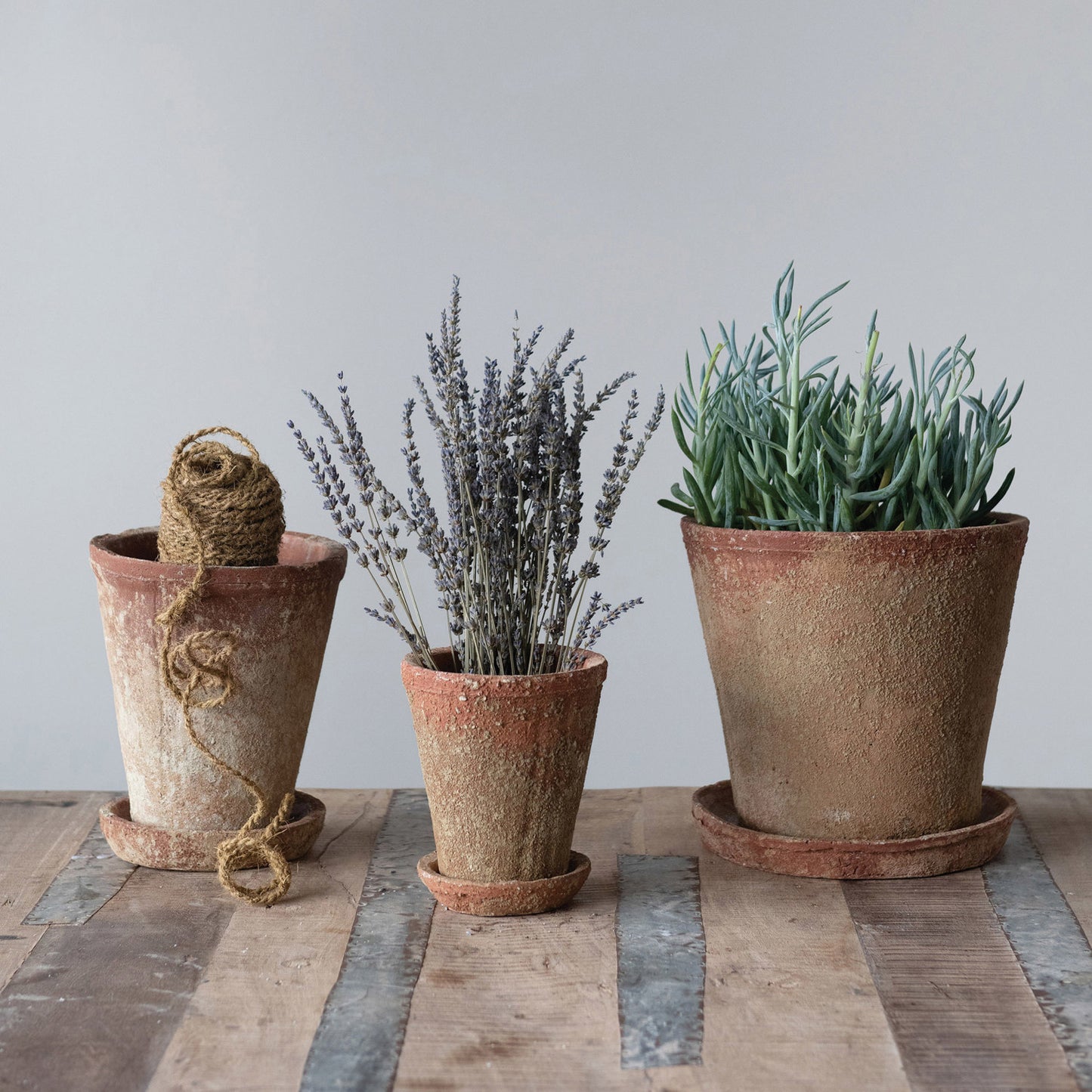 Distressed Cement Planter with Saucer