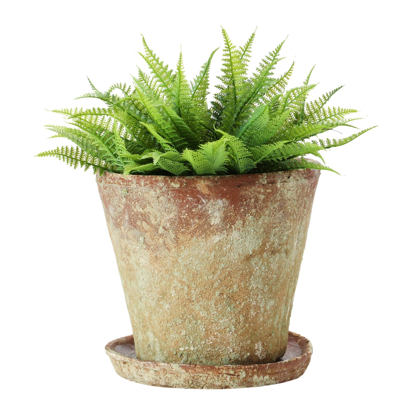 Distressed Cement Planter with Saucer