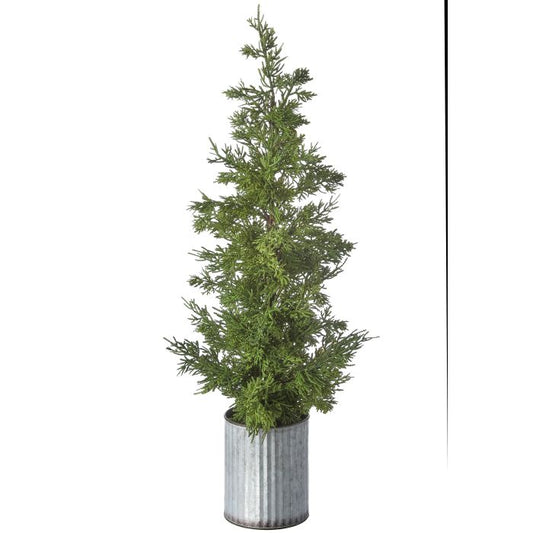 Galvanized Potted Cedar