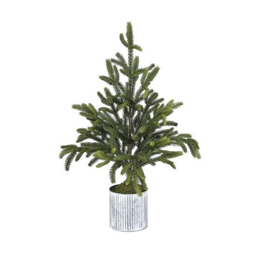 36" Norway Spruce Tree