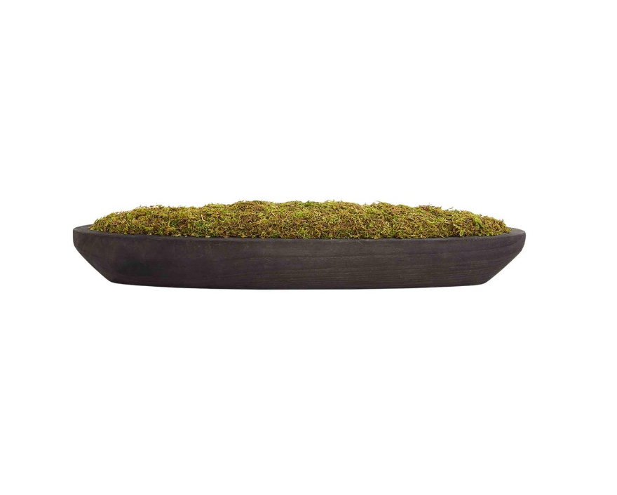 Moss Tray