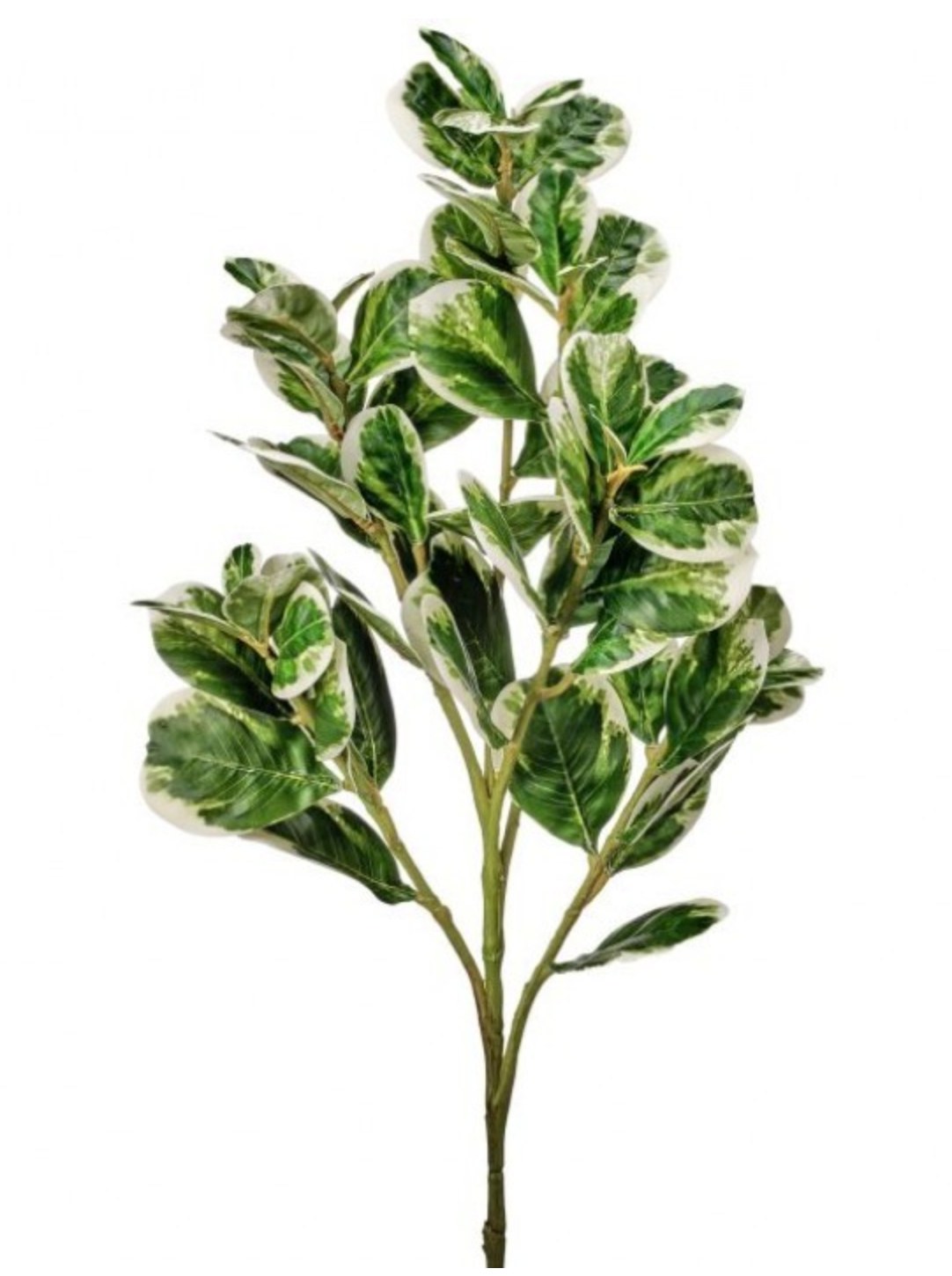 Real Touch Pittosporum Spray