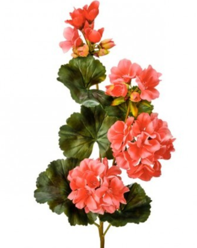 Just Cut Geranium Spray