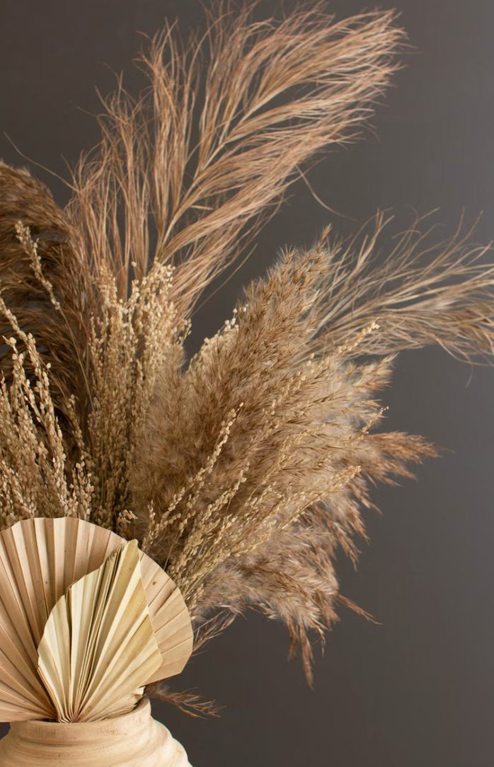 Natural Pampas Grass Bundle