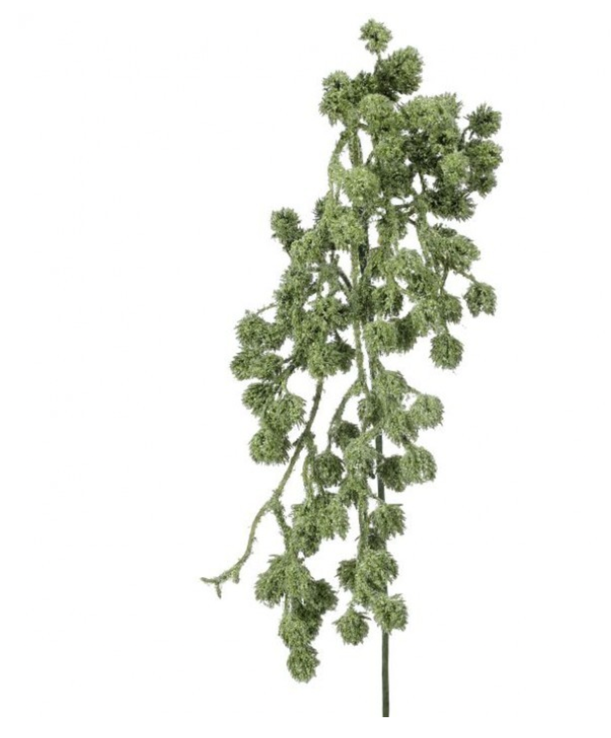 Hanging Cone Amaranthus Spray