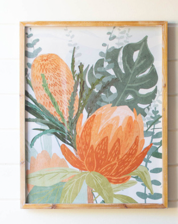 Framed Protea Print