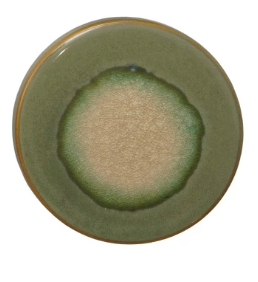 Colored Stoneware Trivet