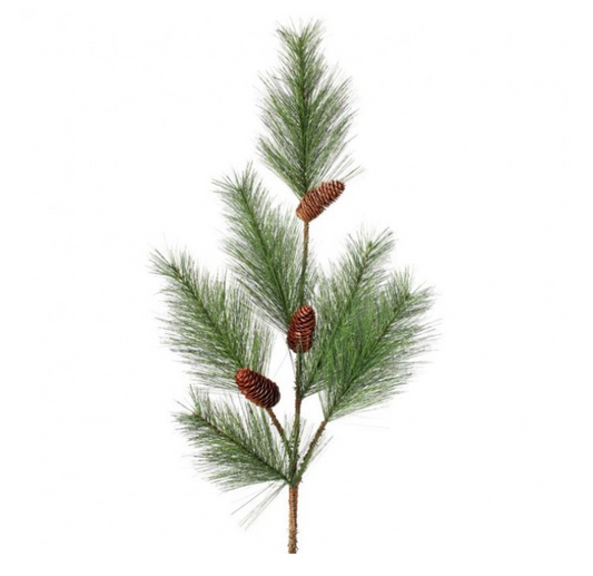 Hard Needle Pine W/Cones Branch