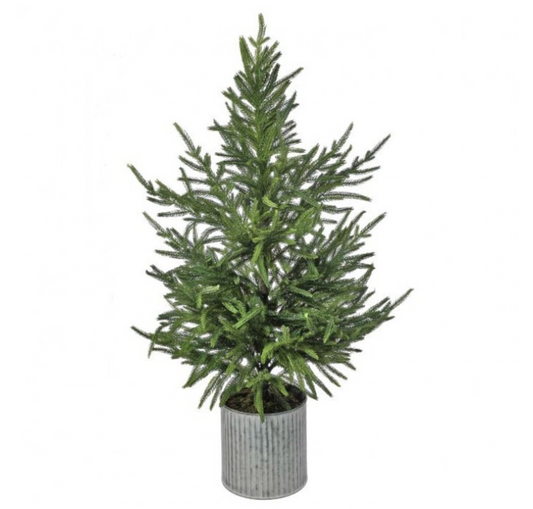 28" Potted Norfolk Pine Tree