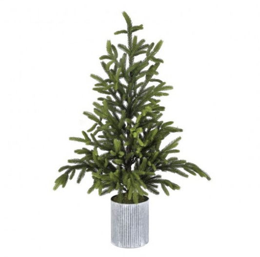 48" Norway Spruce Tree