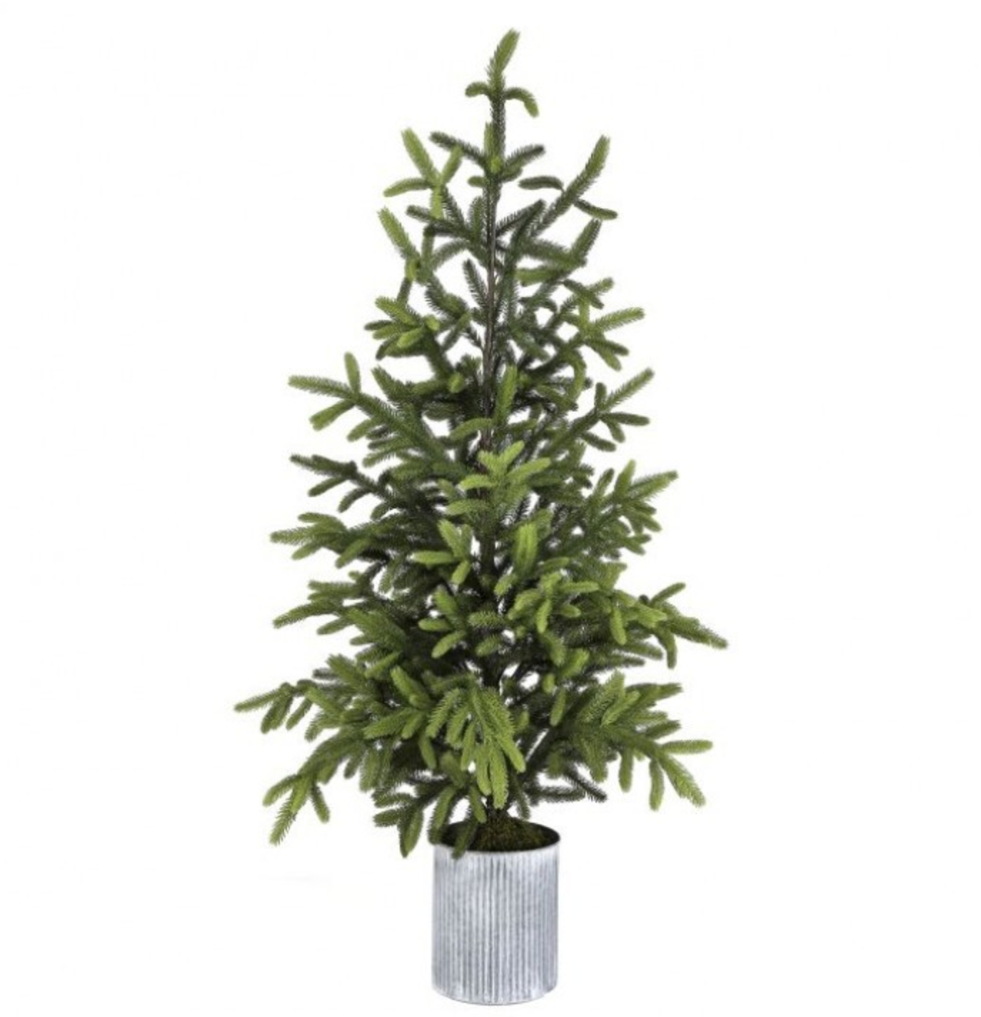 60" Norway Spruce Tree