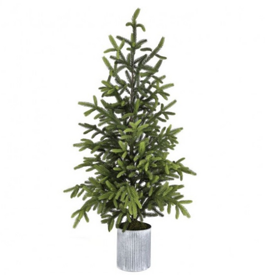 60" Norway Spruce Tree