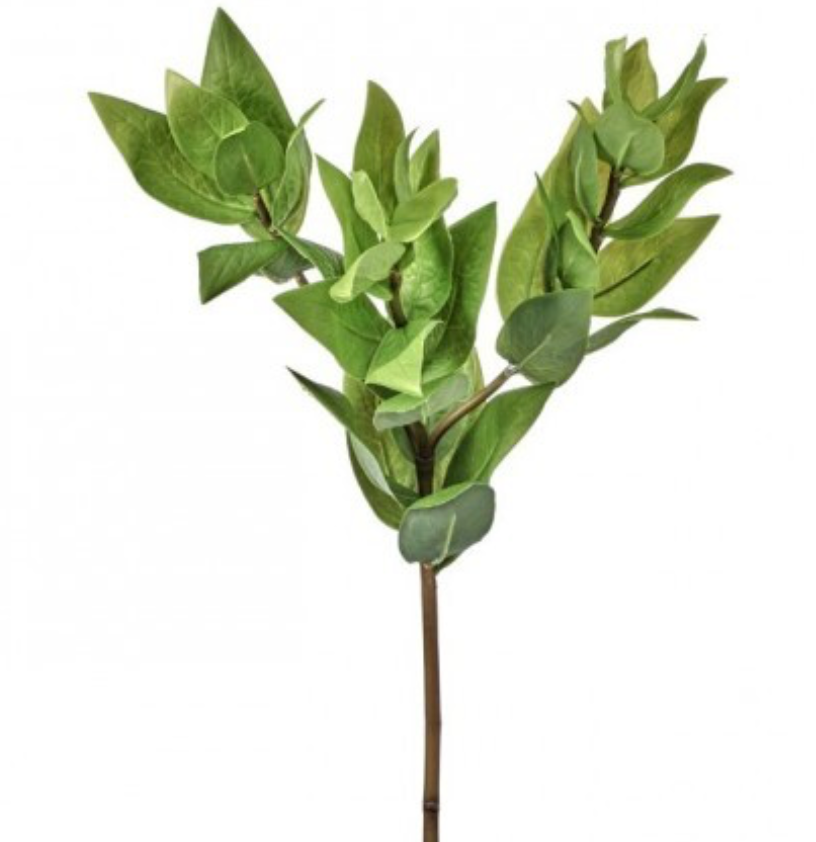 Triple Israeli Ruscus Spray