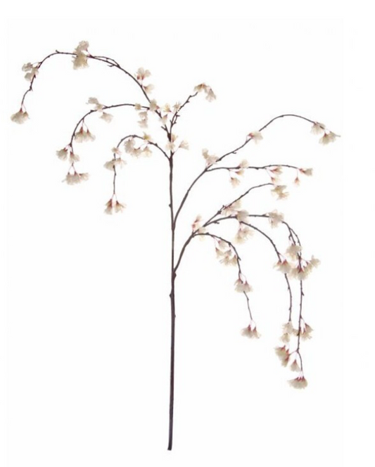 Hanging White Cherry Blossom Branch