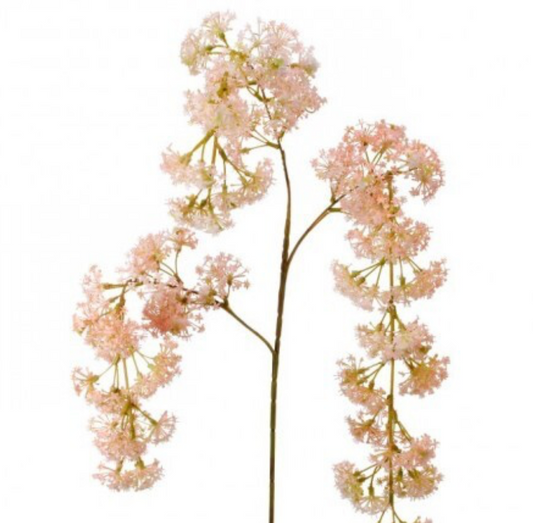 Weeping Laurel Blush Flower Spray