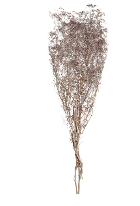 Dried Baby's Breath