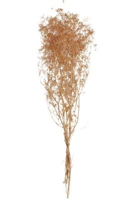 Dried Baby's Breath