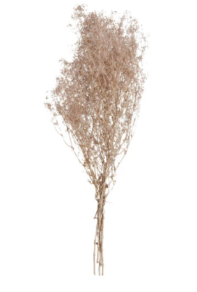 Dried Baby's Breath