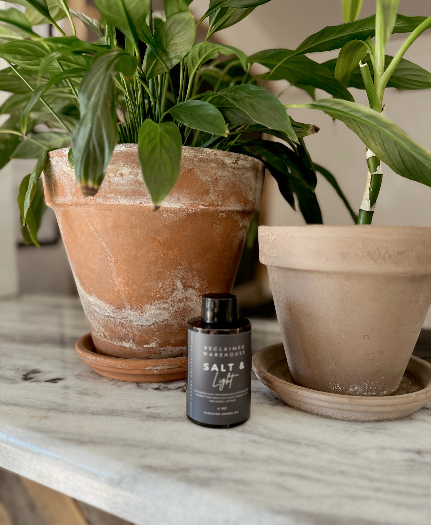 Aroma Diffuser Bundle