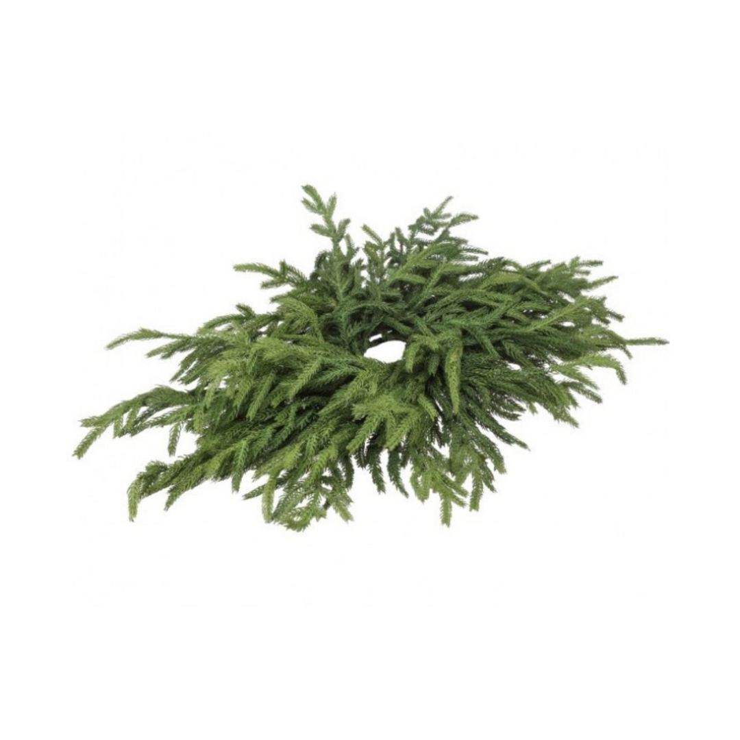 Norfolk Pine Centerpiece