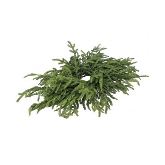 Norfolk Pine Centerpiece