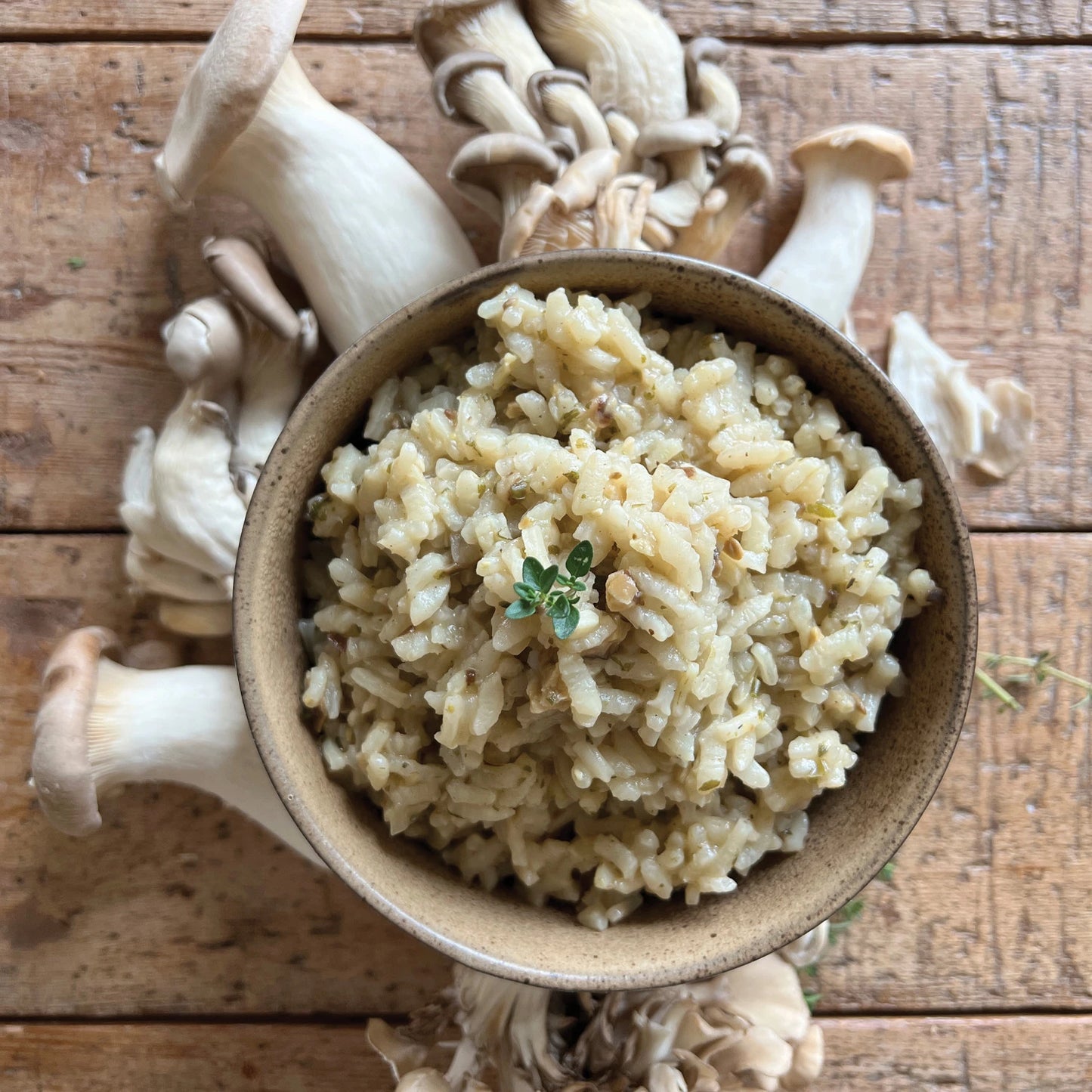 Porcini Mushroom Risotto