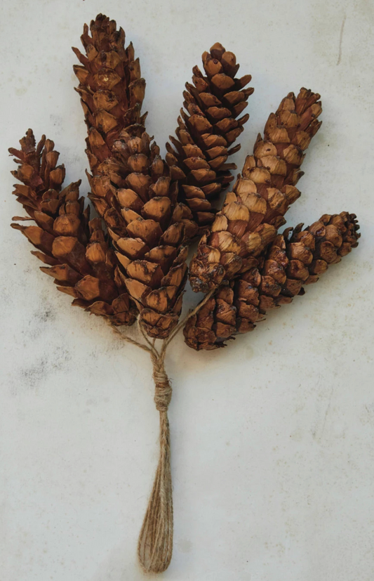 Holiday Pinecone Bunch