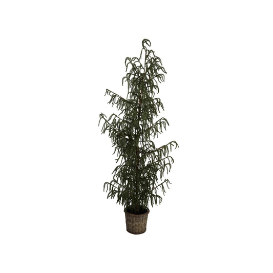 Faux Cedar Tree in Basket