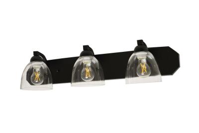 Victoria Matte Black and Clear Vanity Light