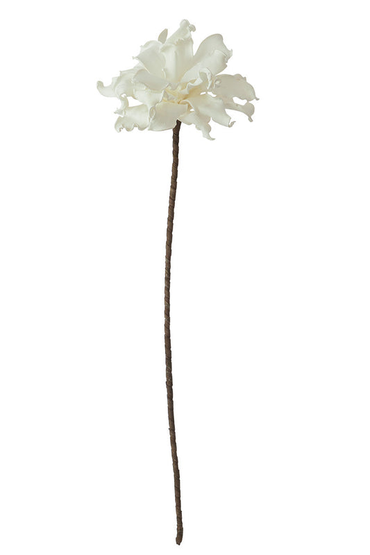 Lucy White Floral Stem
