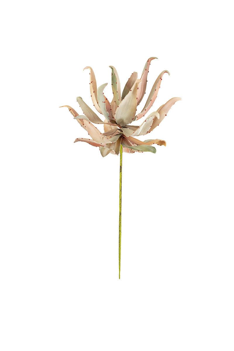 Serafina Floral Stem