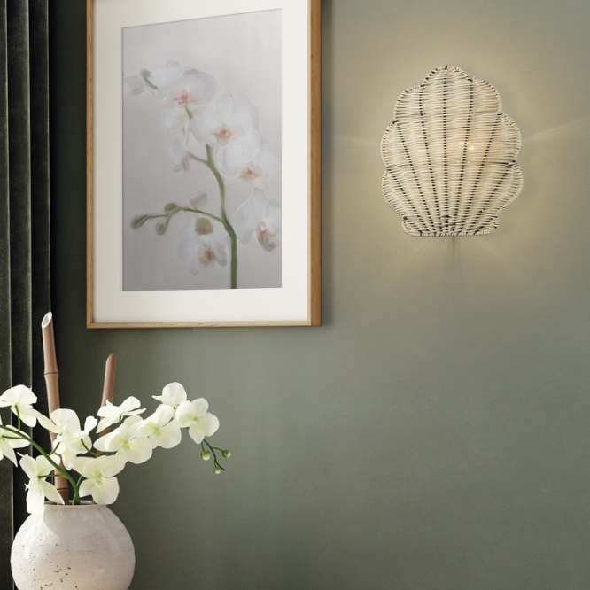 Shell Sconce