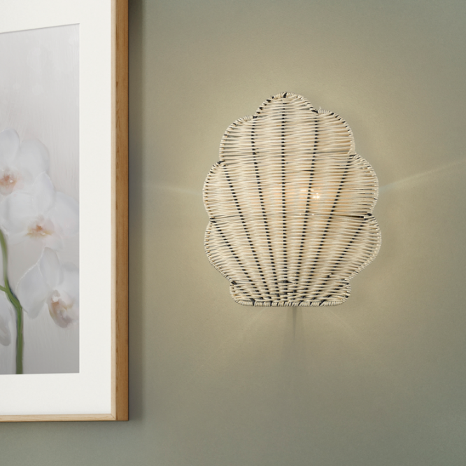 Shell Sconce