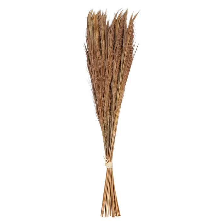 Dried Natural Tiger Grass – ReclaimedWarehouse